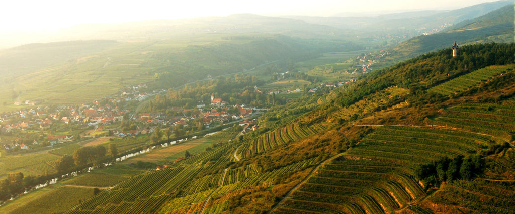Wine Tasting - Premium Austrian Estates with Stefanie Lobner